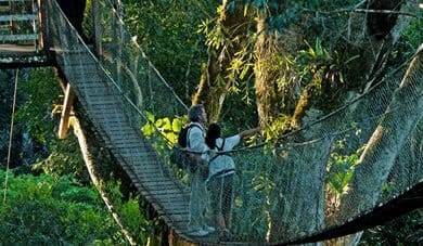 Amazonian Peru, Tourist Program